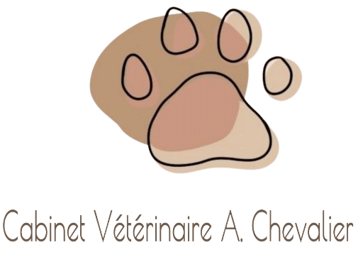 Cabinet vétérinaire Ambre Chevalier